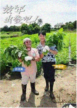 欢乐喜剧人 - 大叔影视综艺
